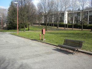 spazi verdi in cortile
