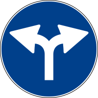 scelta-universitaria-scuola